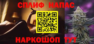 PSILOCYBIN Заводоуковск