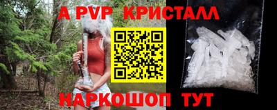 PSILOCYBIN Заводоуковск